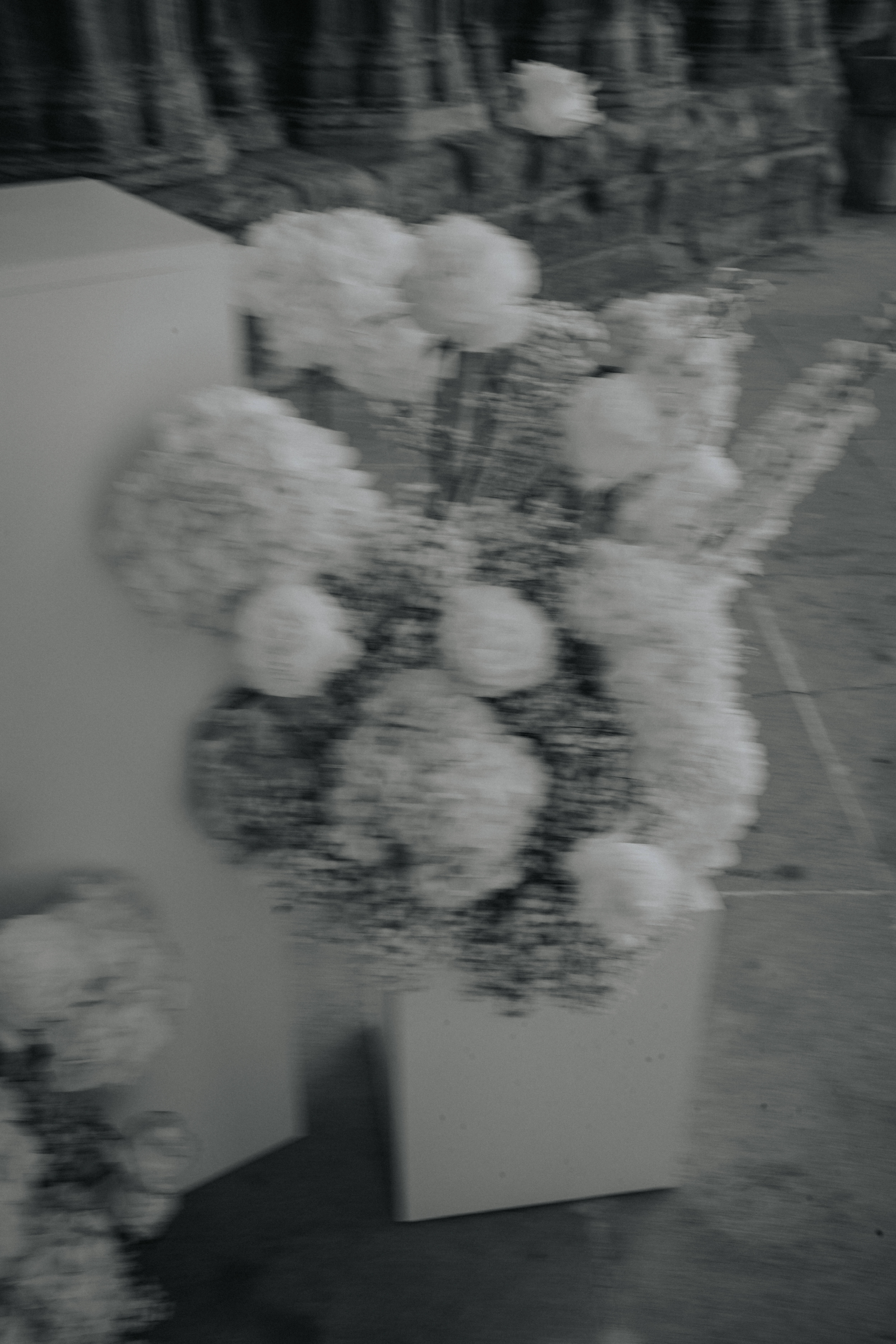 no0760 La Sra. Popi Wedding Planner & Designer